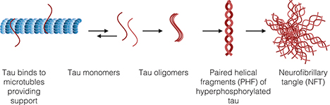Click to Enlarge View Fig 2