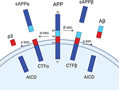 Click to Enlarge View Fig 3