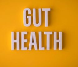 Gut Health Depiction illustration