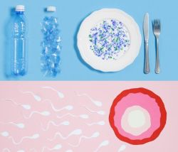 Microplastics Fertility illustration