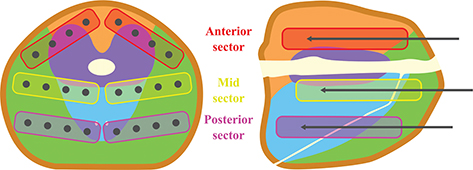 Click to Enlarge View Fig 4